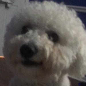 Meet your Posher, Luke